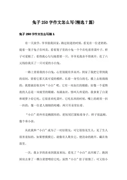 兔子250字作文怎么写(精选7篇)