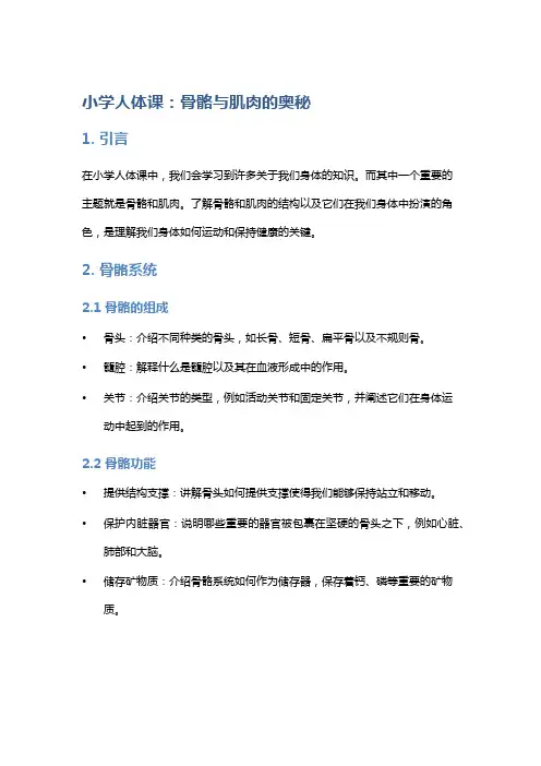 小学人体课：骨骼与肌肉的奥秘