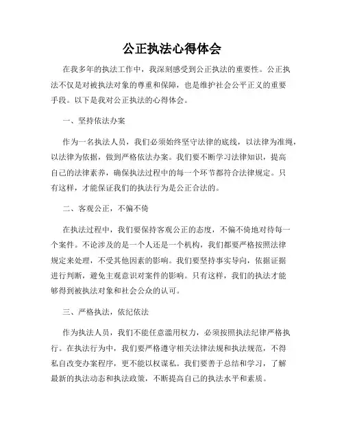 公正执法心得体会