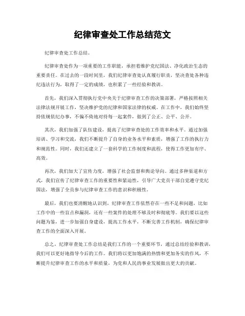 纪律审查处工作总结范文