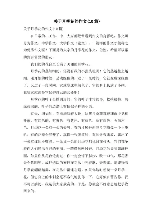 关于月季花的作文(10篇)