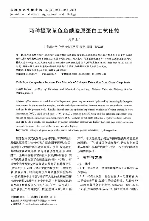 两种提取草鱼鱼鳞胶原蛋白工艺比较