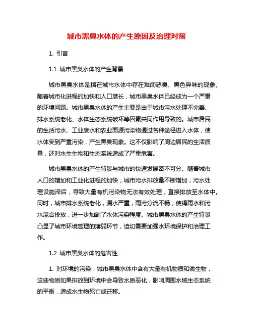 城市黑臭水体的产生原因及治理对策