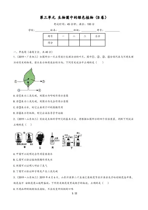 2019-2020学年七年级上册生物AB卷(人教版)：第三单元 生物圈中的绿色植物(B卷提升篇)(含解析版答案)