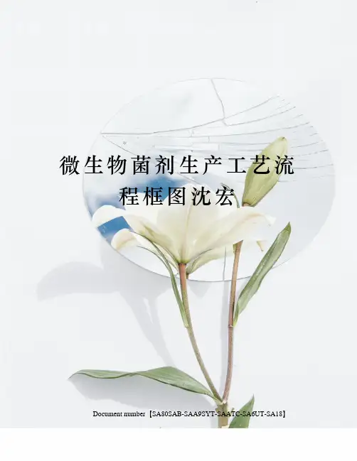 微生物菌剂生产工艺流程框图沈宏