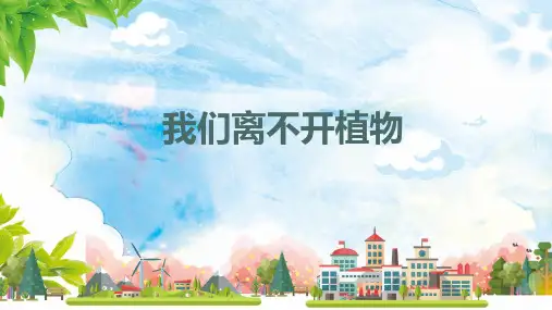 粤教版科学《校园里的植物》ppt教学课件1
