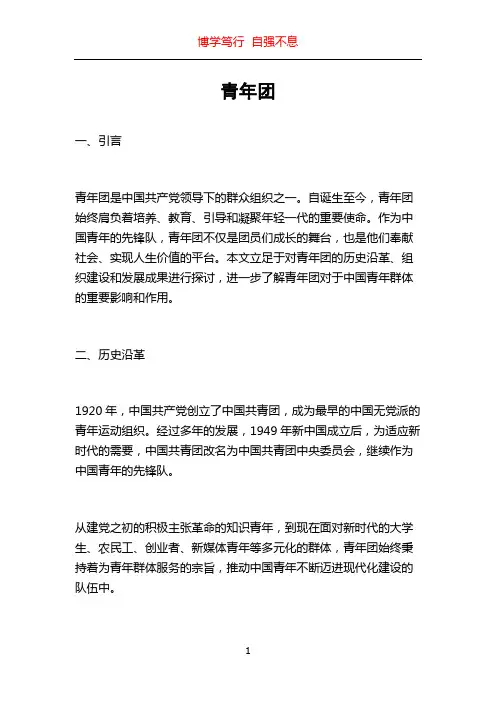 青年团_精品文档