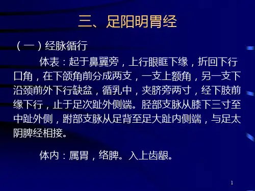 足阳明胃经(完整版)PPT课件