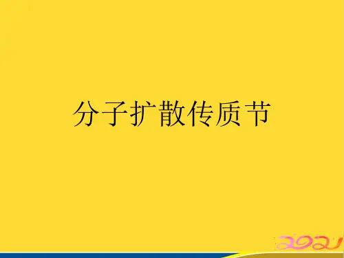 分子扩散传质节(标准版)ppt资料
