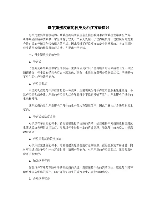 母牛繁殖疾病的种类及治疗方法探讨