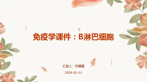 免疫学课件B淋巴细胞