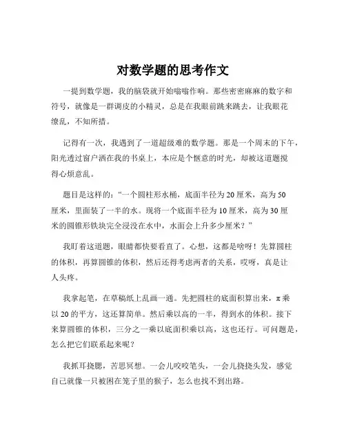 对数学题的思考作文