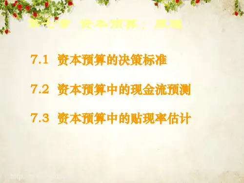 资本预算：原理(PPT 124页)