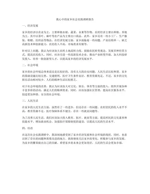 我心中的家乡社会实践调研报告