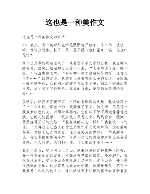 这也是一种美作文