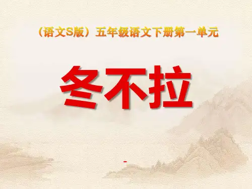 语文S版语文五下《冬不拉》ppt-课件2