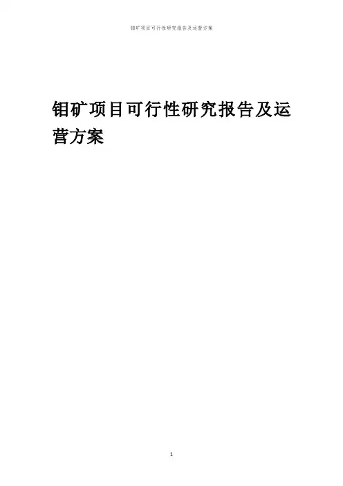 2024年钼矿项目可行性研究报告及运营方案