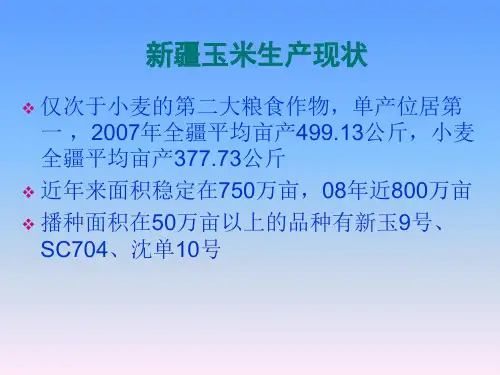 新疆玉米高产栽培技术讲稿