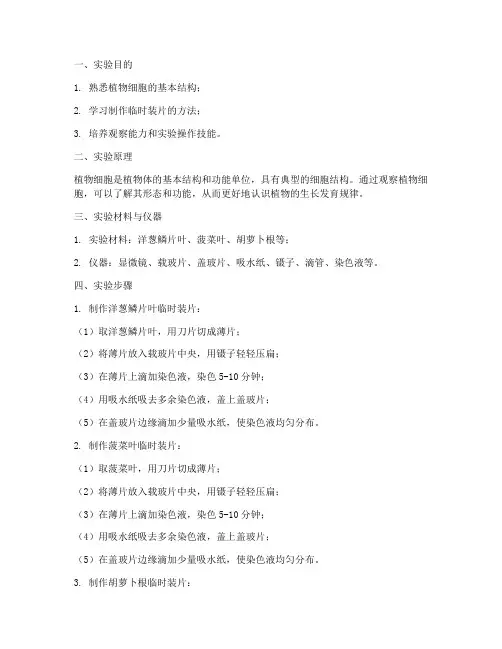 观看植物细胞实验报告