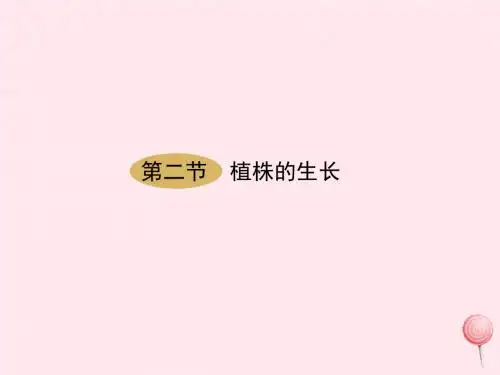 七年级生物上册第三单元第二章第二节植株的生长课件新版新人教版