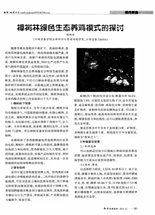 樟树林绿色生态养鸡模式的探讨