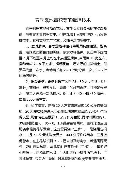 春季露地青花菜的栽培技术
