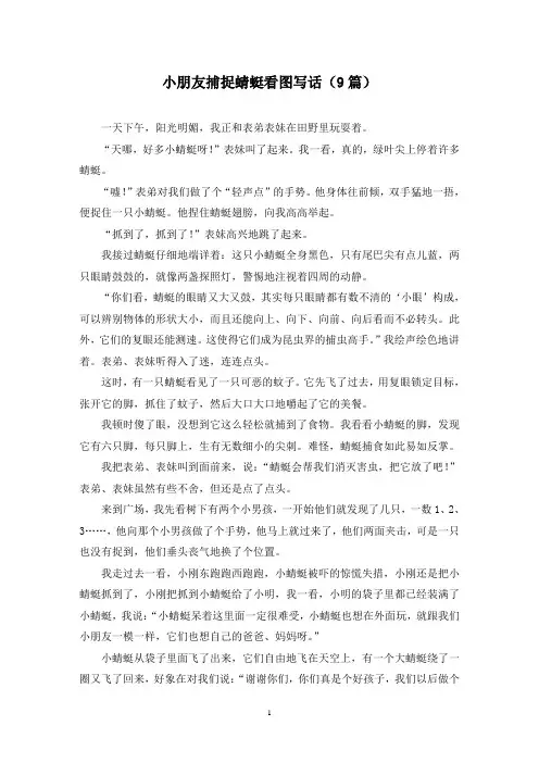 小朋友捕捉蜻蜓看图写话(9篇)