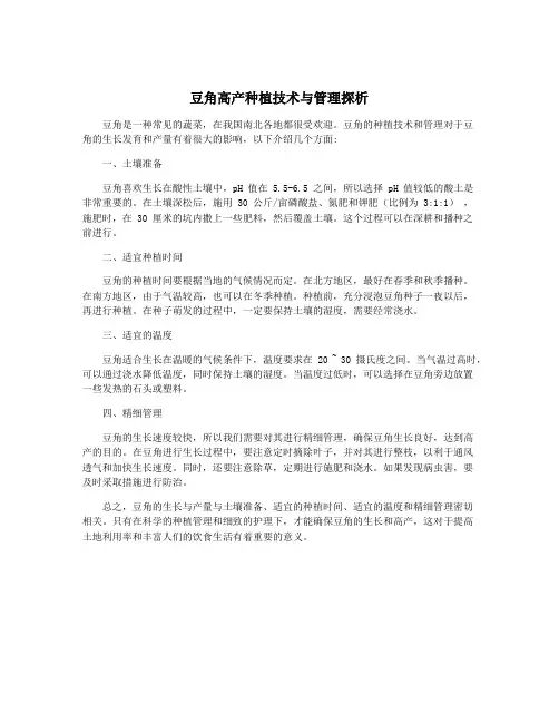 豆角高产种植技术与管理探析