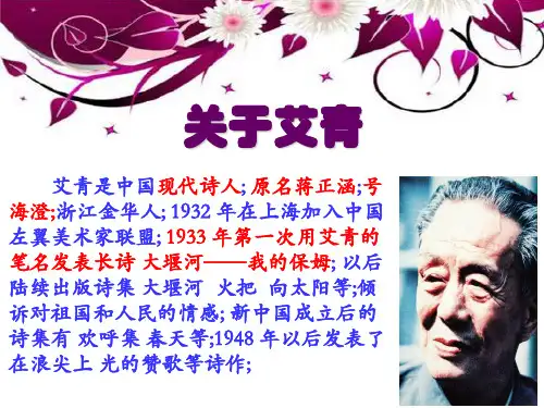 名著导读《艾青诗选》ppt讲义
