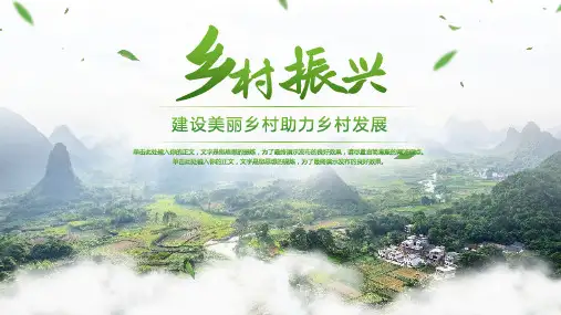 全面推进乡村振兴战略PPT模板