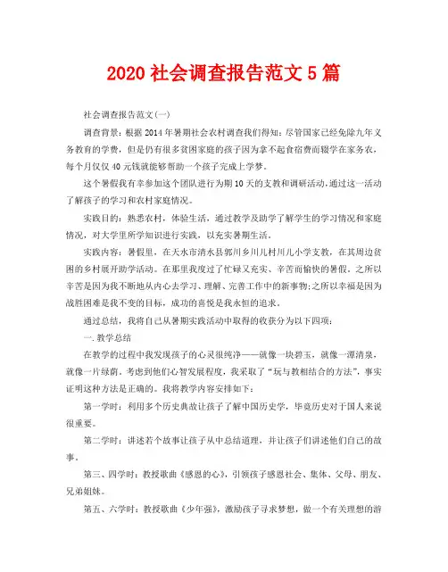 2020社会调查报告范文5篇