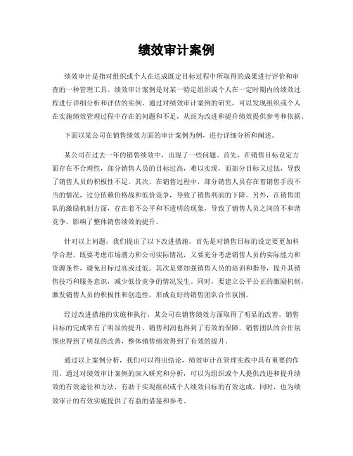 绩效审计案例