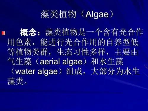 植物学：15藻类植物(Algae)