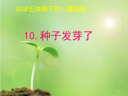青岛版小学科学五年级下册《种子发芽了》精品教案