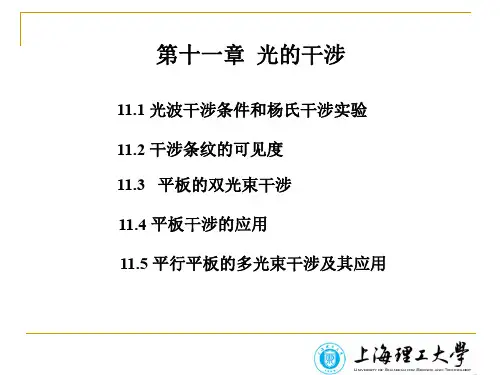 第十一章光的干涉