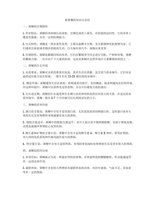 抓黄鳝的知识点总结