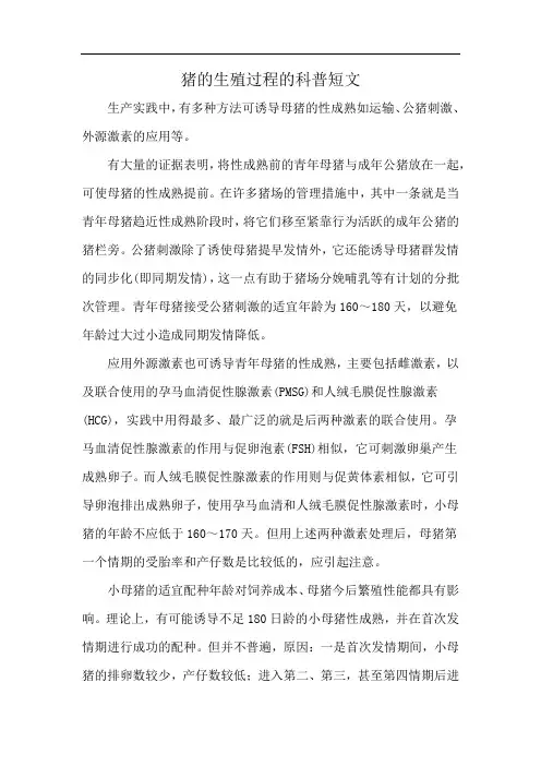 猪的生殖过程的科普短文