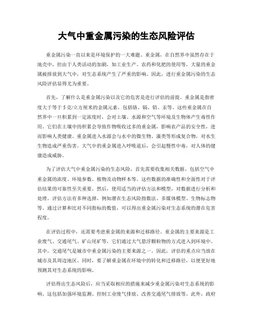 大气中重金属污染的生态风险评估