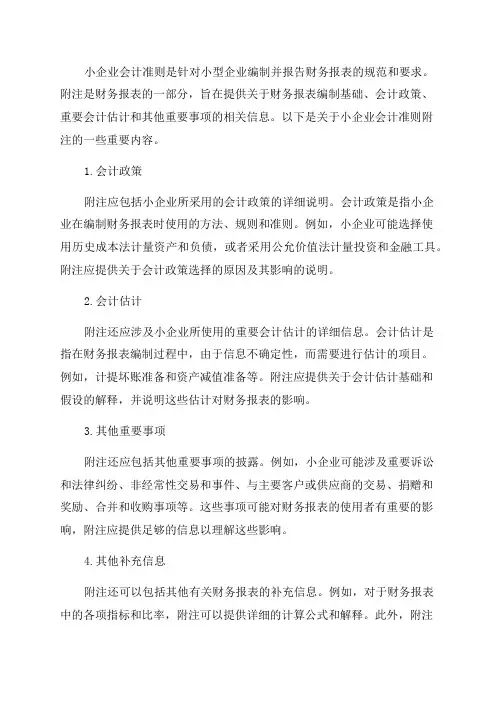 年报小企业会计准则附注