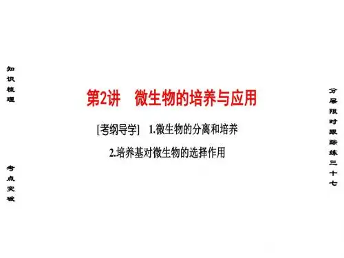高考生物一轮复习 第11单元 生物技术实践 第2讲 微生物的培养与应用课件