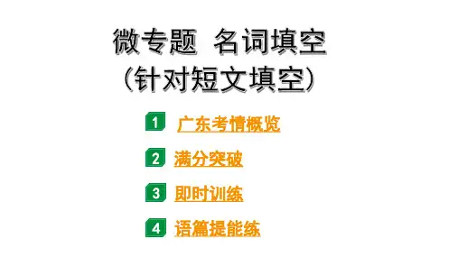 2024广东中考英语三轮冲刺 微专题 名词填空(针对短文填空)(课件)