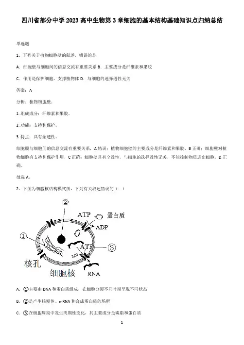 四川省部分中学2023高中生物第3章细胞的基本结构基础知识点归纳总结