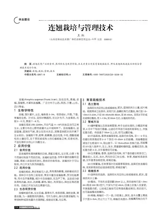 连翘栽培与管理技术