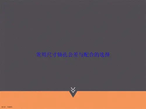 常用尺寸轴孔公差与配合的选择讲课文档