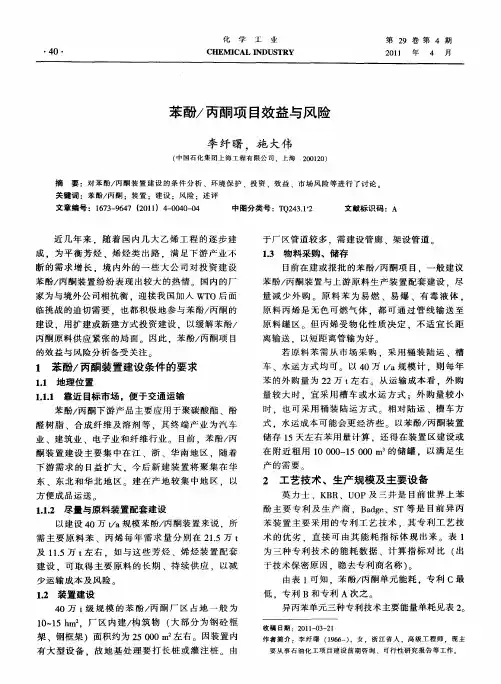 苯酚／丙酮项目效益与风险