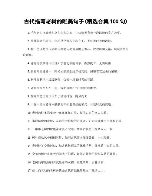 古代描写老树的唯美句子(精选合集100句)