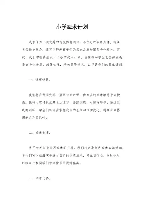 小学武术计划