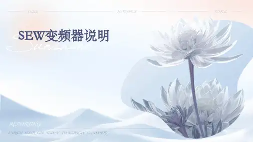 SEW变频器说明