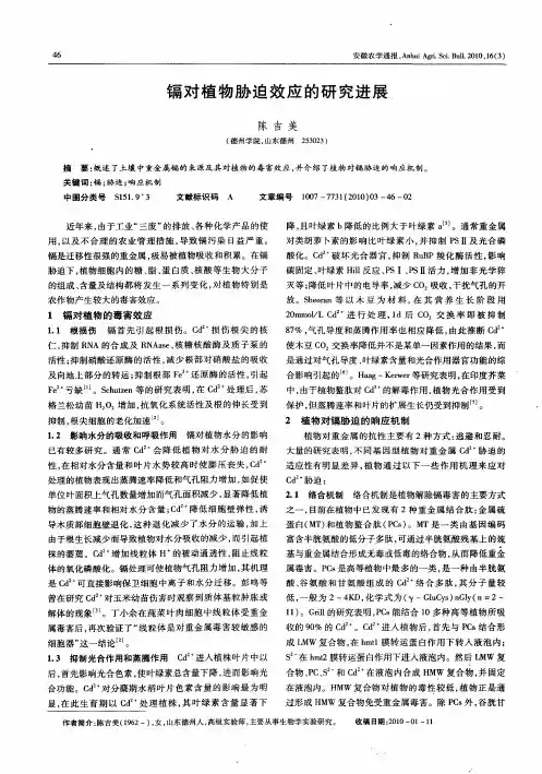 镉对植物胁迫效应的研究进展