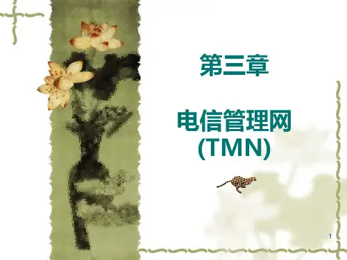 tmn